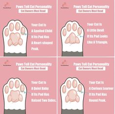 four different stages of cat paw formation with instructions on how to use the paws and claws