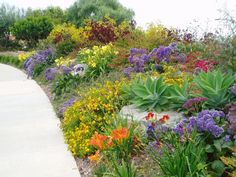 a garden with flowers and plants growing on the side of it, next to a sidewalk