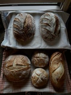 four loaves of bread sitting on top of a cloth covered baking tray next to a window