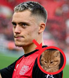 a man with a cat on his shoulder and a red circle around the neck that says i love cats