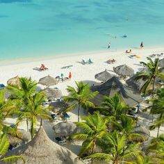 an aerial view of a beach with palm trees and thatched umbrellas