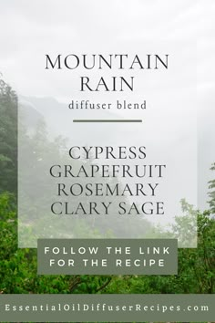 Cypress Essential Oil Blends, Thyme Essential Oil Diffuser Blends, Cypress Essential Oil Diffuser Blends, Cypress Diffuser Blends, Clary Sage Essential Oil Blends, Rosemary Essential Oil Blends, Birch Essential Oil, Essential Oil Mixtures, Cypress Essential Oil