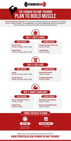 the ultimate guide to building muscle muscles info sheet for strength training, including exercises and tips