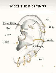 an ear diagram with all the parts labeled