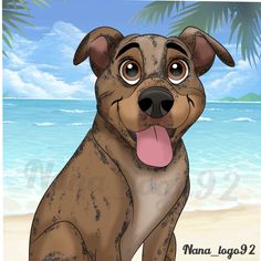 a brown dog sitting on top of a sandy beach next to the ocean with his tongue hanging out