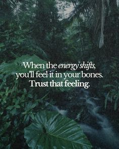 a quote about energy and trust in the forest with green leaves around it, which reads, when the energy shifts you'll feel in your bones trust that feeling