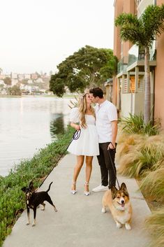 a man and woman standing next to each other on a sidewalk with two dogs in front of them