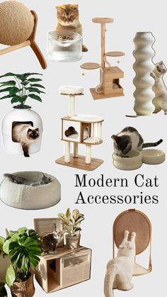 modern cat accessories and furniture for cats