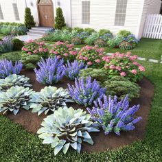 a garden with purple and white flowers in front of a house