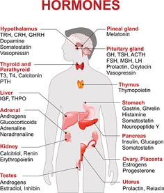 the anatomy of the human body with labels on it stock photo and royalty free images