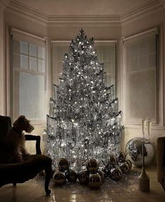 a dog sitting on a chair in front of a christmas tree with silver baubies