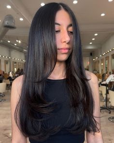 Layered Haircuts Straight Hair, Layered Haircuts Straight, Haircuts For Long Hair Straight, Rambut Brunette, Straight Black Hair, Brown Hair Inspo, Straight Hair Cuts