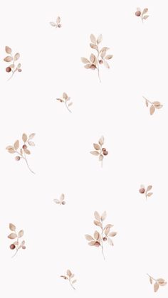 a white wallpaper with pink flowers and leaves on it's back drop down