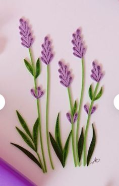 some purple flowers and green leaves on a white surface