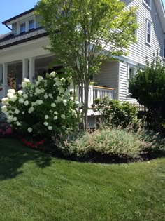 a house with white flowers in the front yard