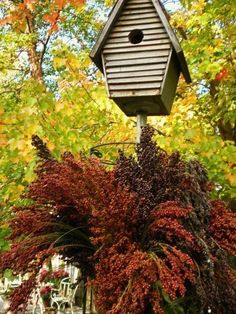 a bird house sitting on top of a tree next to some flowers and trees in the background