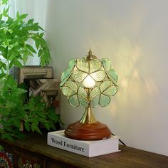 a lamp sitting on top of a wooden table next to a potted green plant