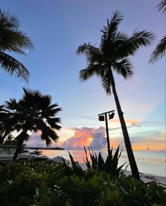 the sun is setting behind two palm trees on the beach in front of some water