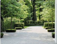 an empty driveway surrounded by trees and bushes