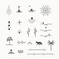 an image of different shapes and sizes of desert animals in the wild, with palm trees