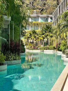 an outdoor swimming pool surrounded by trees and plants