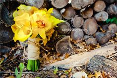 a bouquet of yellow flowers sitting on top of a pile of wood next to logs