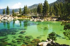 green water surrounded by rocks and pine trees