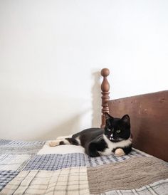 a black and white cat laying on top of a bed next to a wooden headboard