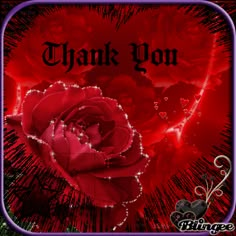 a red rose with the words thank you on it