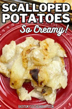 Cooked scalloped potatoes on a red plate. Best Scalloped Potatoes Recipe, The Best Scalloped Potatoes, Soft Potatoes, Best Scalloped Potatoes, Scalloped Potatoes Easy, Scalloped Potatoes Recipe, Scalloped Potato Recipes, Spring Dinner, Potato Recipes Side Dishes