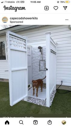 a dog is standing in the shower outside