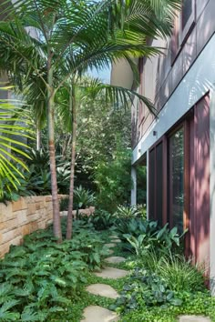 Stone steppers create a journey through lush rainforest garden in Sydney’s Vaucluse. Modern Tropical Garden, Tropical Backyard Landscaping, Lush Rainforest, Small Tropical Gardens, Jungle Gardens