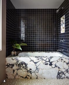 a marble bathtub in a bathroom with black tile walls and flooring, along with a potted plant