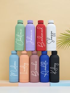 six personalized water bottles are lined up on a shelf next to a palm tree