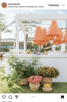 an outdoor bar with orange umbrellas and potted plants on the grass in front of it