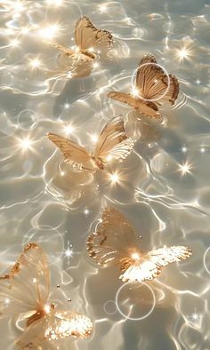 several butterflies floating on top of water in the sunlit waterside, with bubbles and sparkles all around them