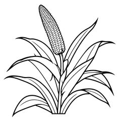 corn on the cob coloring page