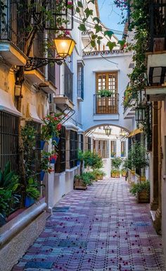 an alley way with potted plants and hanging lights on the side of each building