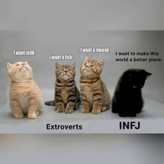 Infj Facts, Personalidad Infj, Infj Humor, Infj Psychology, Infj Type, Infj Mbti, Infj Personality Type, Myers Briggs Personality Types, Infj T