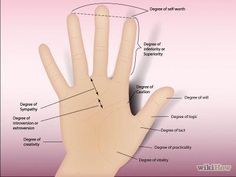 a diagram of the structure of a hand with all its parts labeled on it's fingers