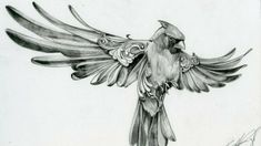 a drawing of a bird with wings spread