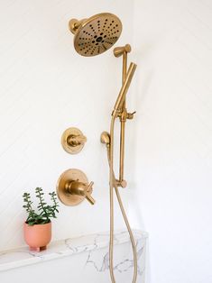 a shower head with thermostaer and hand held shower faucet, next to a potted plant