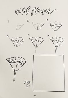 the drawing shows how to draw flowers