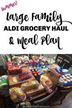 the large family aldi grocery haul and meal plan