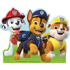 the paw patrol characters are standing together