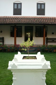 a small tree is in the middle of a planter on some grass near a building