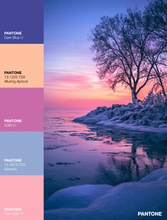 the color scheme for pantone's winter hues is purple, pink, and blue