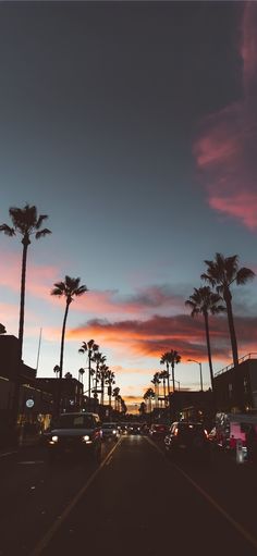 the sun is setting behind some palm trees and cars are driving down the street in front of them