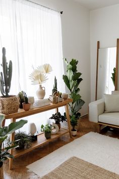 a living room filled with lots of plants on top of a wooden shelf next to a white couch