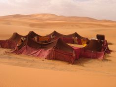 tents set up in the desert with sand dunes behind them